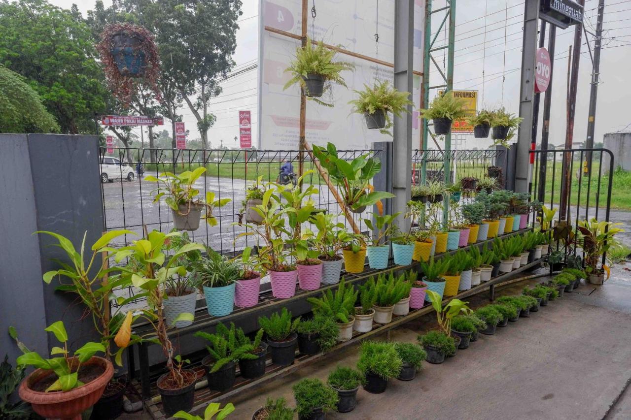Oyo 3746 Double Tree Guesthouse Purwokerto Bagian luar foto